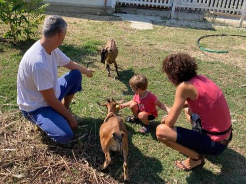 two adults and a child are petting two goats at LE CERQUE in Spoleto