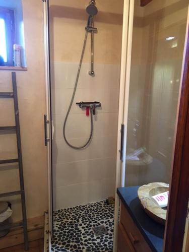 een badkamer met een douche en een glazen deur bij chalet st michel de maurienne in Beaune