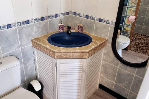 Bungalow des pensées piscine chauffée 28° في سان دوني: حمام مع حوض أزرق ومرحاض