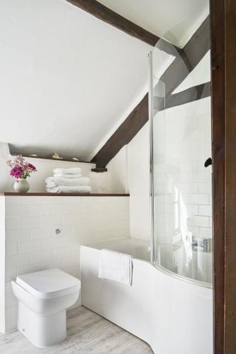 a bathroom with a toilet and a bath tub at Jasmine Cottage in Bude