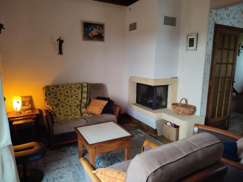 un soggiorno con divano e camino di Villa Amarante ad Annonay