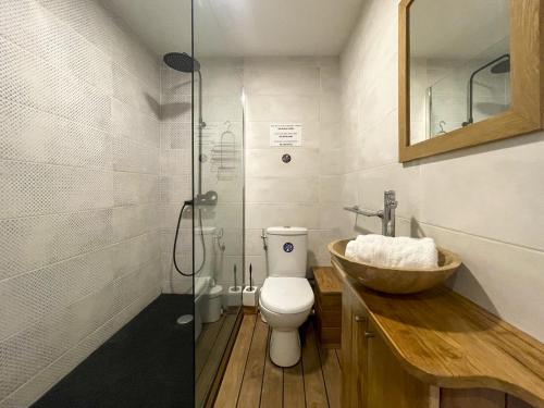 une salle de bain avec toilettes, lavabo et douche dans l'établissement Saint Francois de Paul - wifi, AC, 6 pers, à Nice