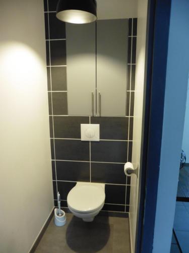 a bathroom with a toilet and a mirror at Le chêne enchanté à 10' du Puy du Fou in Saint-Laurent-sur-Sèvre