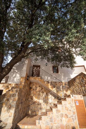 a staircase leading up to a building with a tree at Apartamentos 7 puentes sierra Cazorla Casa Encina in Burunchel