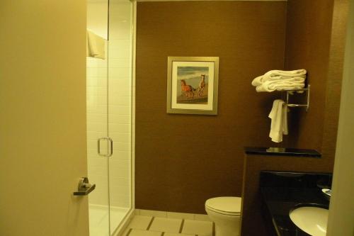 a bathroom with a shower and a toilet and a sink at Fairfield Inn & Suites by Marriott Chincoteague Island Waterfront in Chincoteague