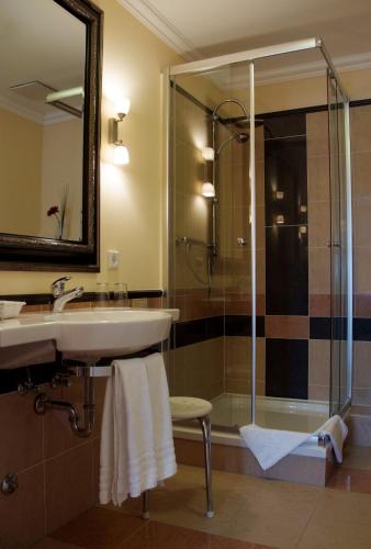 a bathroom with a sink and a shower at Dagstuhler Hof in Wadern