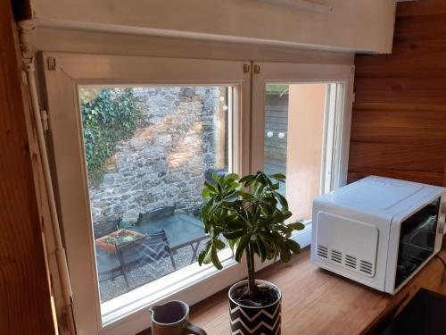 Croixanvec的住宿－L'Estive，窗户,窗户在一间配有微波炉和植物的房间