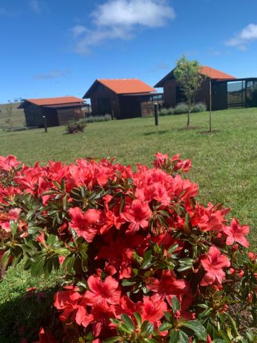 Pousada Querência Tarumã – Photos 3