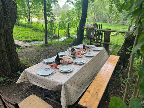 a picnic table with plates and wine bottles on it at Casa Izvorul Rece in Hobiţa
