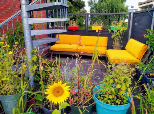 un sofá amarillo sentado en un jardín con plantas en LodgeRivierenhof, en Amberes