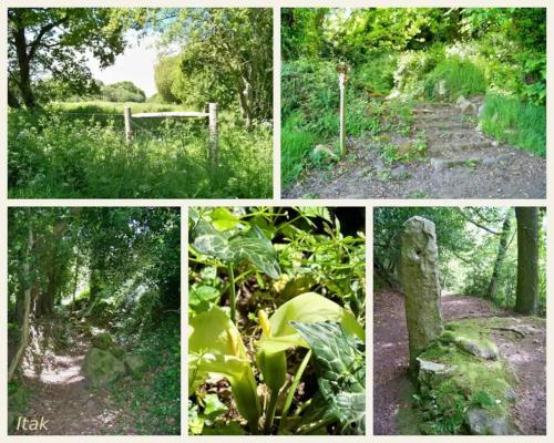 un collage d'images d'un sentier dans les bois dans l'établissement Résidence Les Trois Mâts à Trestel, en bord de mer, sur la Côte de Granit Rose, à Trévou-Tréguignec