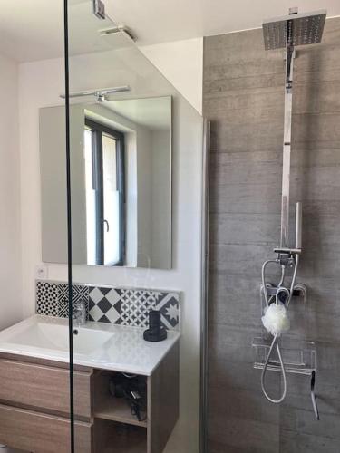 une salle de bain avec un lavabo, un miroir et une douche dans l'établissement Maison Marceau Gruissan, à Gruissan