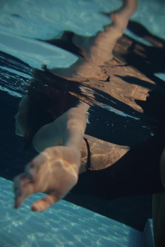a sea turtle swimming in the water at Secret Garden Resort & Spa in Palma Campania