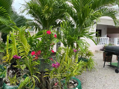Taman di luar Mokara Holiday Apartment