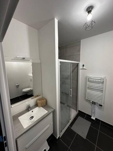 une salle de bain blanche avec un lavabo et une douche dans l'établissement Le National panoramique, à Tours