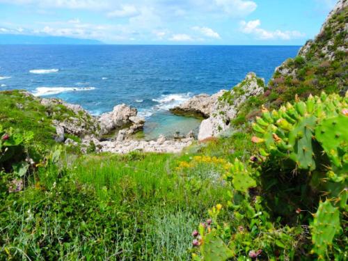 a view of the ocean from a hill with plants at Casa Vacanza NINA in Milazzo