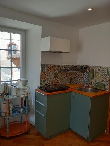une cuisine avec un évier et un plan de travail dans l'établissement Cosy studio à Salernes, à Salernes