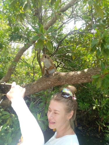a woman taking a picture of a squirrel sitting on a tree at Lake Lane Guest Rest in Koggala
