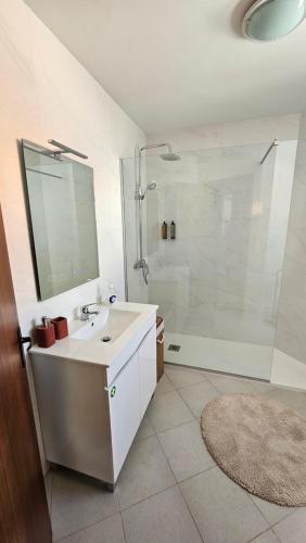 La salle de bains est pourvue d'un lavabo et d'une douche avec un miroir. dans l'établissement Garden and Seaview Apartment - Free Parking, à Funchal