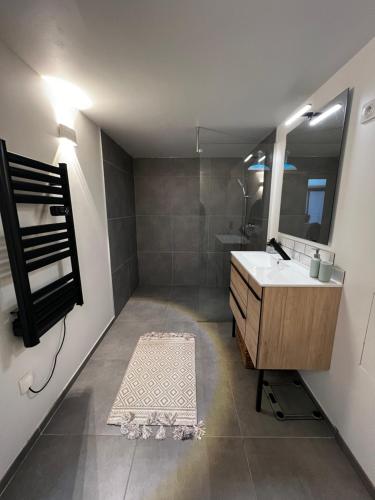 ein Bad mit einem Waschbecken und einem Spiegel in der Unterkunft L’Usine in Concarneau