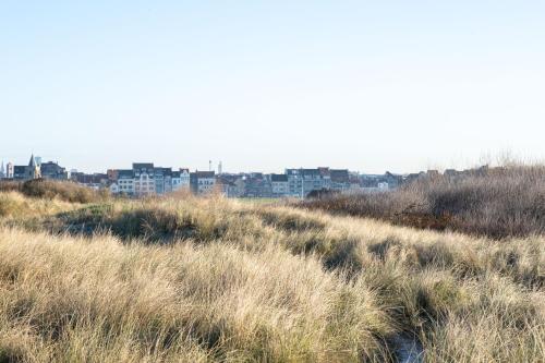 a field of tall grass with buildings in the background at Lets Go Raversijde in Ostend