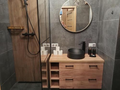 a bathroom with a sink and a shower with a mirror at Prawnicza50 in Żory