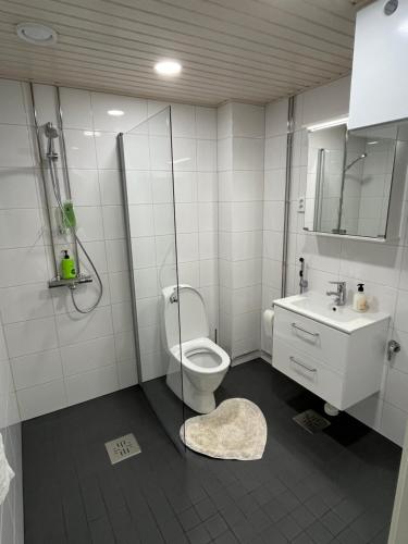 a bathroom with a toilet and a sink at New built One bedroom Apartment nearby Train station in Vantaa