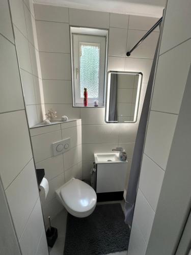 不來梅港的住宿－One100 I Appartment am Schaufenster Fischereihafen，一间带卫生间和水槽的小浴室