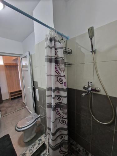 zasłona prysznicową w łazience z toaletą w obiekcie Casa DARYA-24h Check-in w Bukareszcie