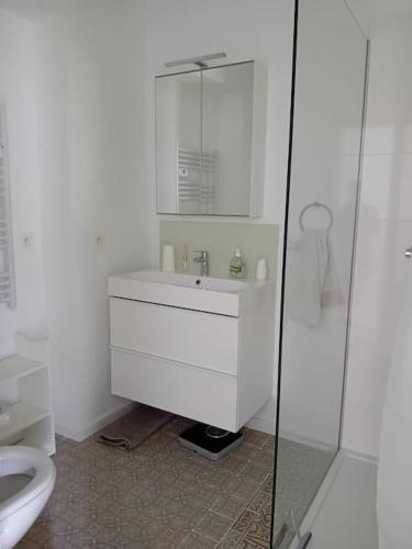 uma casa de banho branca com um lavatório e um WC em Spacieux Appartement 1 chambre double & jardin em Bruxelas