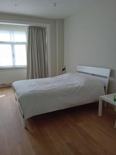 een slaapkamer met een wit bed en een raam bij Spacieux Appartement 1 chambre double & jardin in Brussel