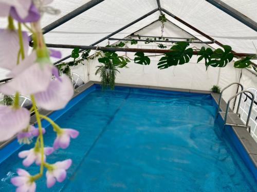 una piscina en una tienda de campaña con flores púrpuras en Mini Love Island style guest house with a hot private swimming pool and heated dining pod, secretly located in the busy suburbs of Nottingham, en Nottingham