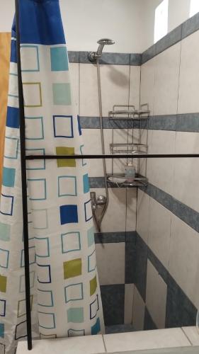 y baño con ducha y pared de azulejos. en El naranjo en Mendoza
