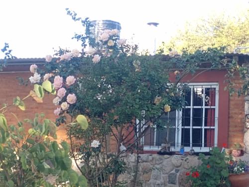 Mi Refugio – Photos 2