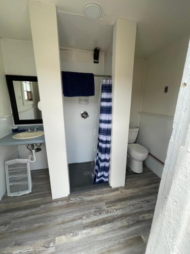 y baño con aseo y lavamanos. en Sapinero Village Campground on Blue Mesa, en Gunnison
