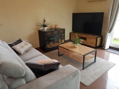 ein Wohnzimmer mit einem Sofa und einem Flachbild-TV in der Unterkunft Green Field Lodge in Lingolsheim