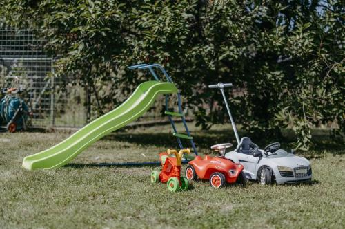 a group of toys on the grass with a slide at Ferienhaus Wallern im Burgenland in Wallern im Burgenland
