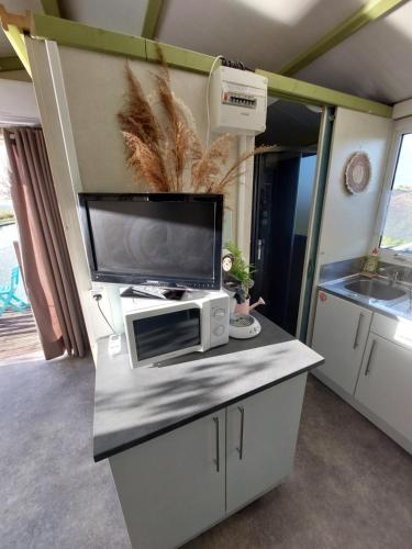 uma cozinha com um micro-ondas e uma televisão num balcão em Cottage flottant terrasse jacuzzi option aux Portes de Dijon 