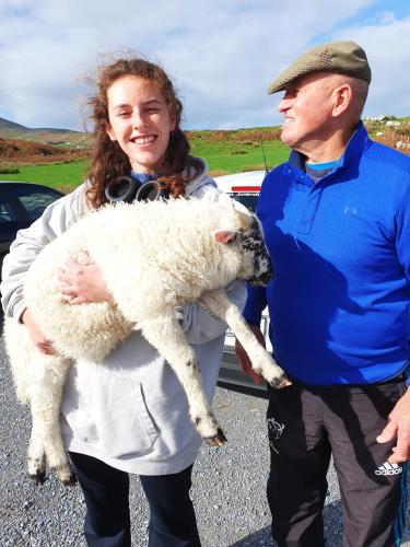 a woman holding a sheep next to two men at Shore Cottage on Valentia Island - Cosy comfort at the sea in Kerry in Valentia Island