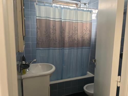 Un baño con lavabo y cortina de ducha. en HERMOSO DEPTO. EN PLENO PALERMO SOHO, en Buenos Aires