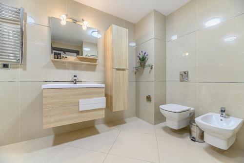 a bathroom with a sink and a toilet and a mirror at B41 Apartment Poiana Brasov in Poiana Brasov