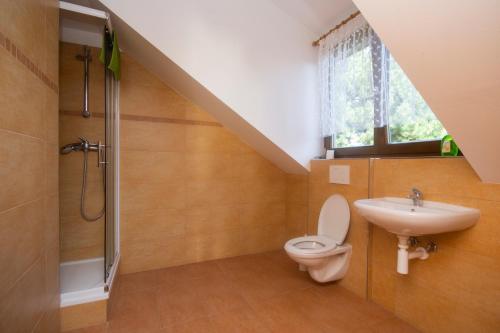 een badkamer met een toilet en een wastafel bij Penzion Hájenka 