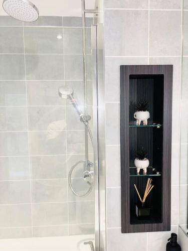 a bathroom with a shower with two shelves at Ace Apartments in Barking