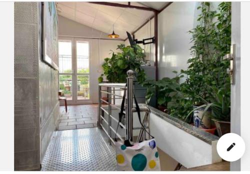 um corredor com plantas e uma câmara num quarto em Home stay doctor 23 em Hanói