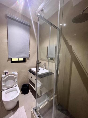 a bathroom with a toilet and a sink at Patrick Court in Lagos