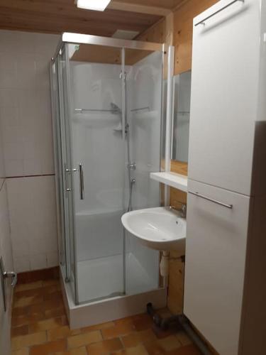 une salle de bain avec douche et lavabo dans l'établissement Bienvenue dans notre Gîte de Saint-Roch, à Padern
