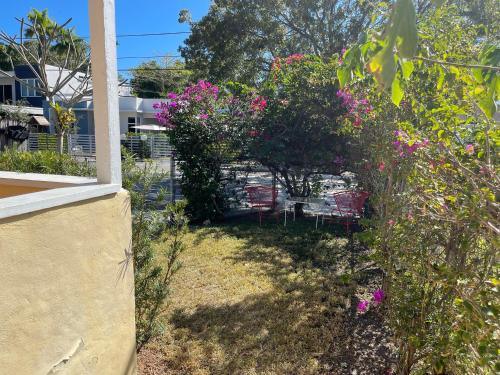 Key West Style Historic Home in Coconut Grove Florida The Yellow House photo 21