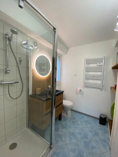 uma casa de banho com um chuveiro, um lavatório e um WC. em Les Myrtilles em Barr