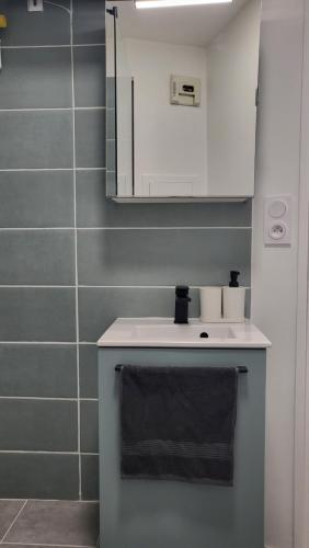 une salle de bain avec un lavabo et un miroir dans l'établissement Studio confortable et charmant, à Paris