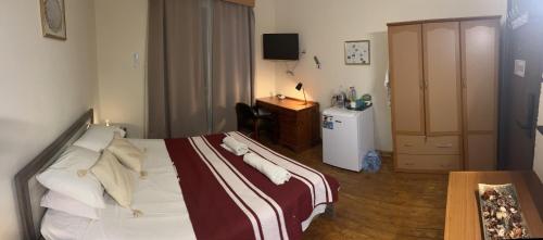 a hotel room with a bed and a desk at Xanthis Hostel Nicosia City Centre in Nicosia